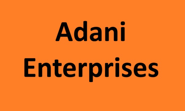 Adani Enterprises share